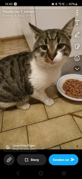 Trixi Ratschiller