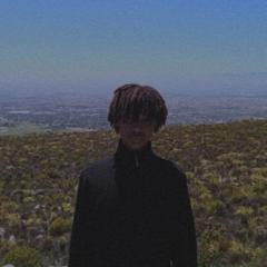 Sizwe N