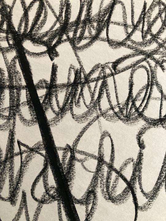 Announcing: a fun new online art workshop!