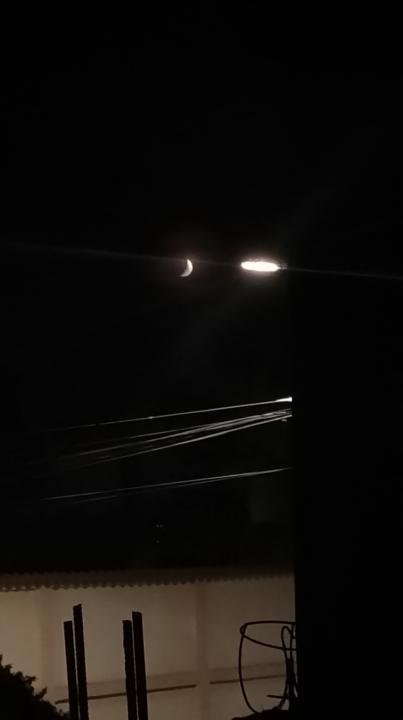 A little humble photography 