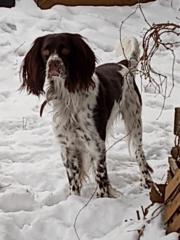 Alet De Jong De jong