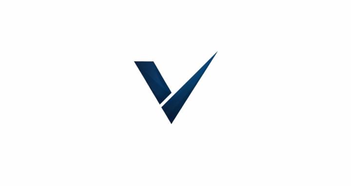 Vector Group