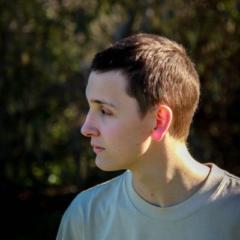 Luca Verryt