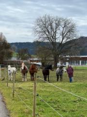 Catherine Baumberger