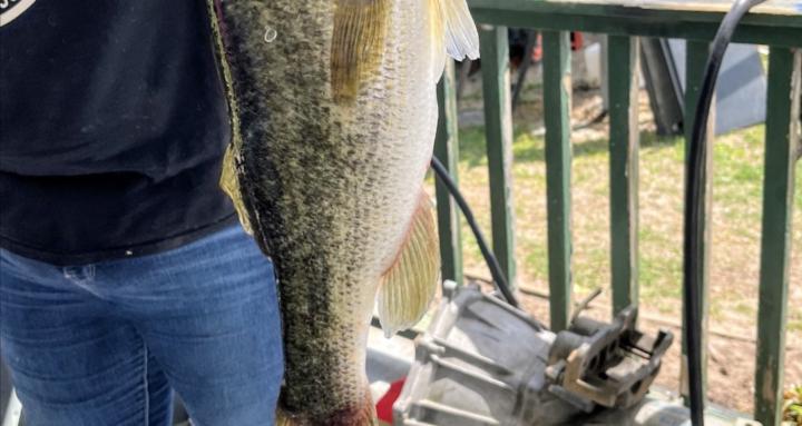 Bass fishing
