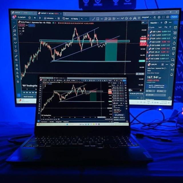 Mohammad Hashem Hanafi