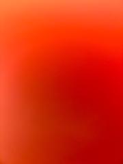 Edrei Adrian Lozano Lopéz