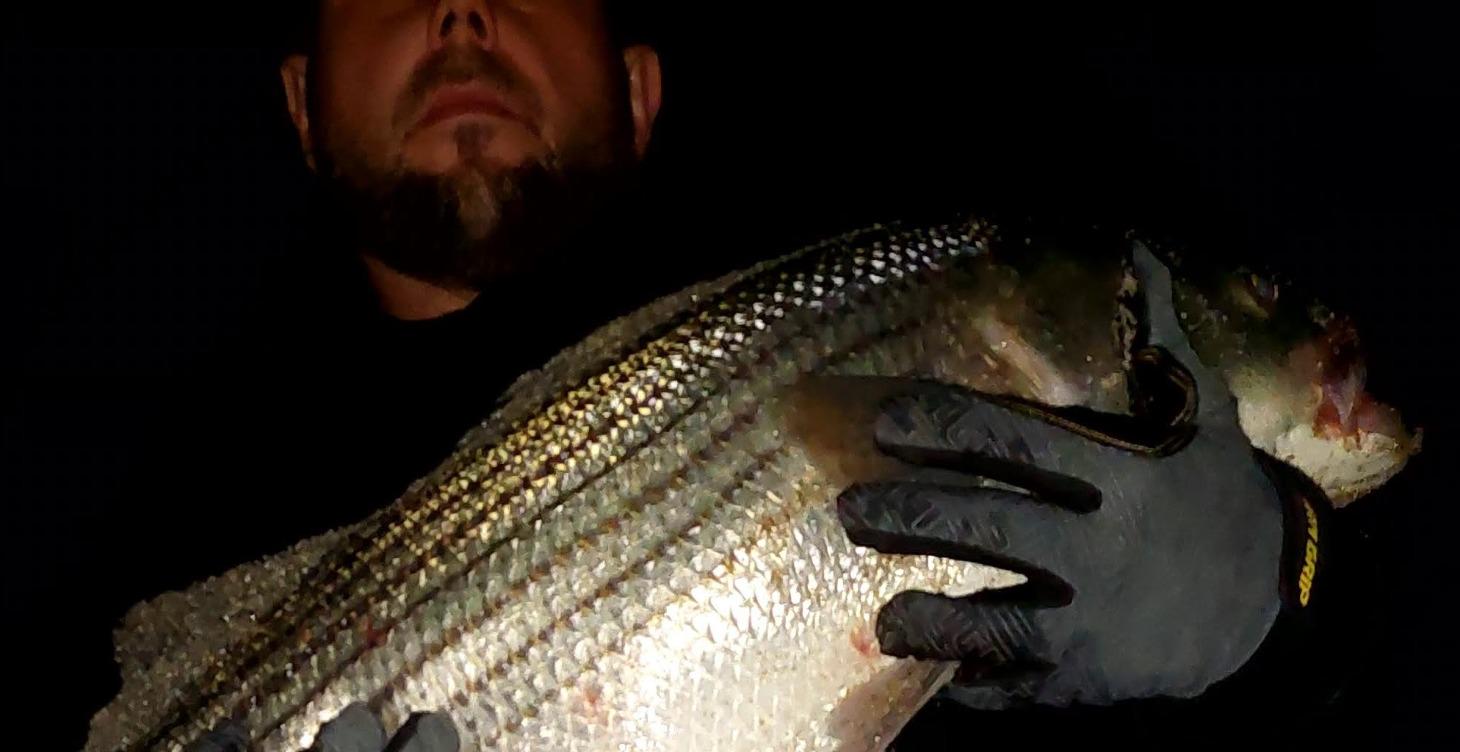 After action reports