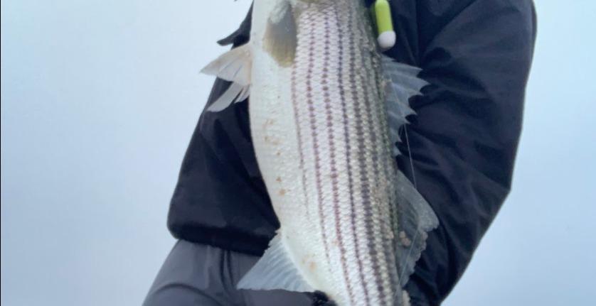 The right conditions: Part 1