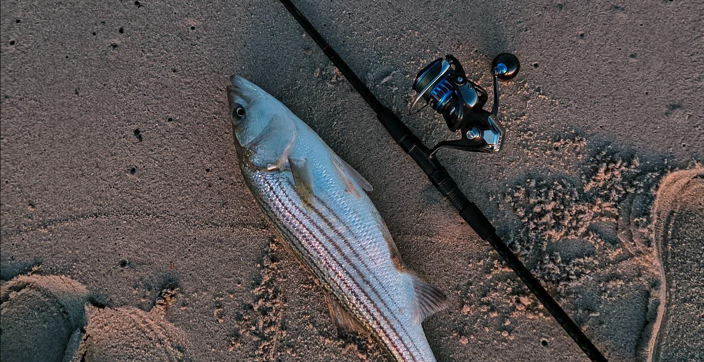 Choosing the right gear