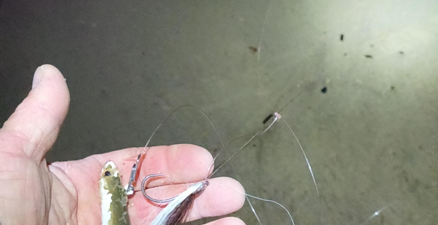 November tactics for success