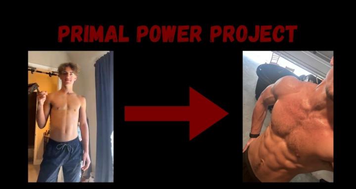 The Primal Power Project