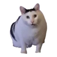 Lê Trương