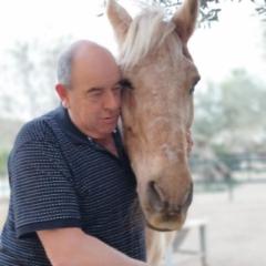 Peter Taubert