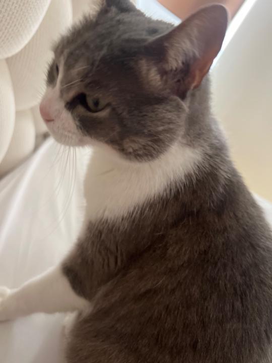 Piedad Ocampo Pineda