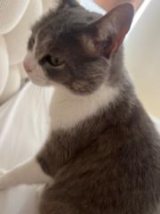 Piedad Ocampo Pineda