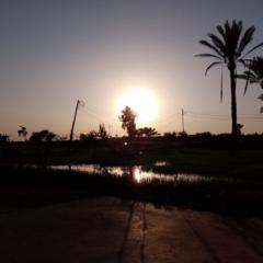 Omar Mohamed