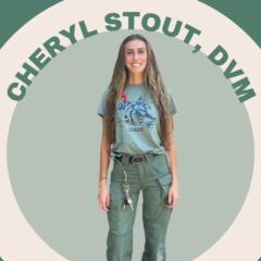 Cheryl Stout