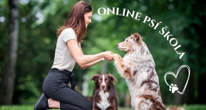 Online psí škola