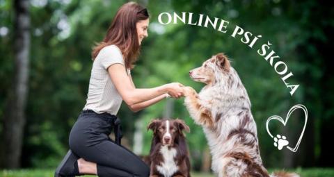 Online psí škola gallery image