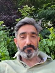 Iman Afshar
