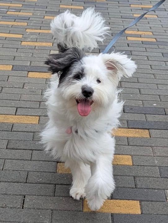 Winnie Wong
