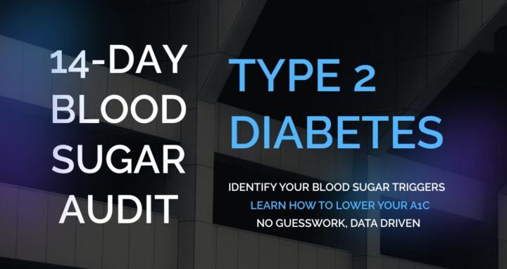 The 14- Day Blood Sugar Audit