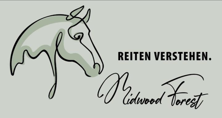 Reiten verstehen.
