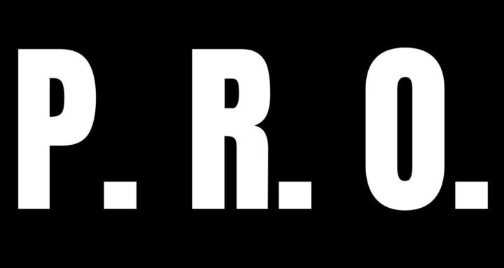 PRO Profit System