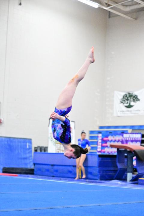 Lauren Chute