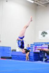 Lauren Chute