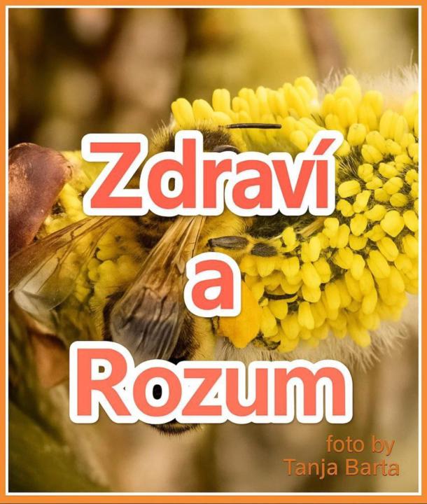 Zdravia Rozum