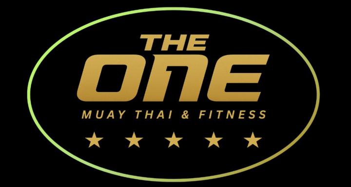 The One Muay Thai Academy