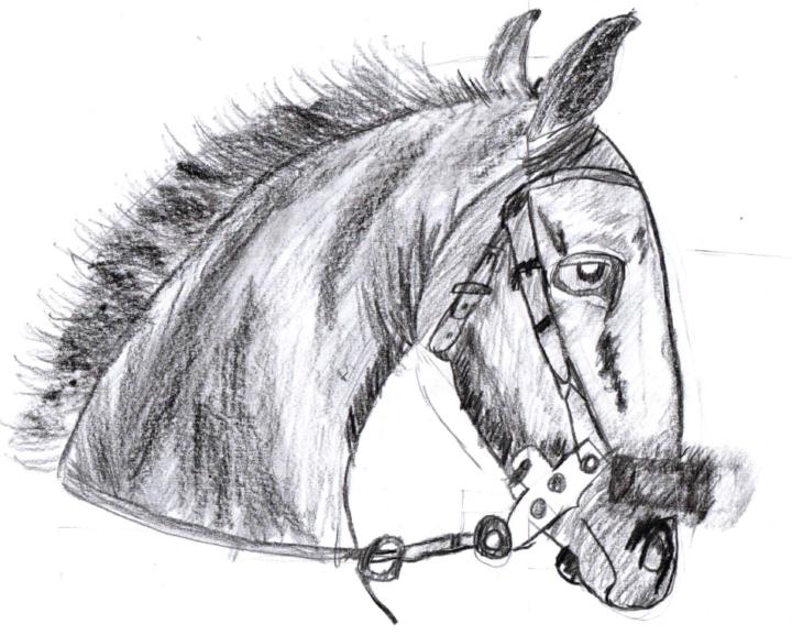 Bayarmagnai Nordogsuren