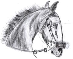 Bayarmagnai Nordogsuren