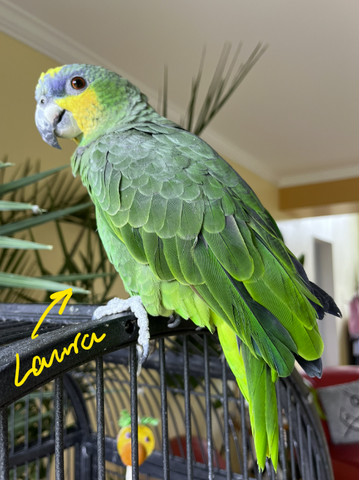 How to Get 100% . . .