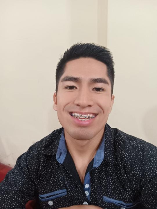 David Alexander Flores Malaver