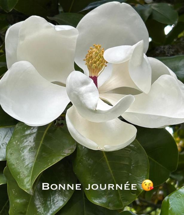Abigaele Nsayo rosy
