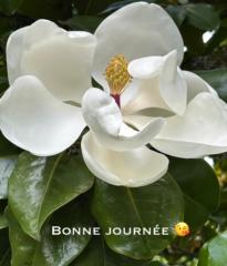 Abigaele Nsayo rosy