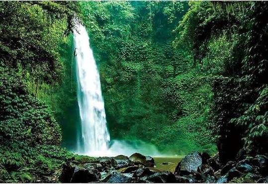 عبدالعزيز التميمي