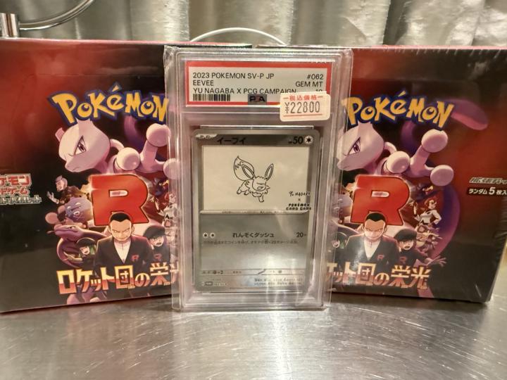 Picking up some Pokemon in Japan