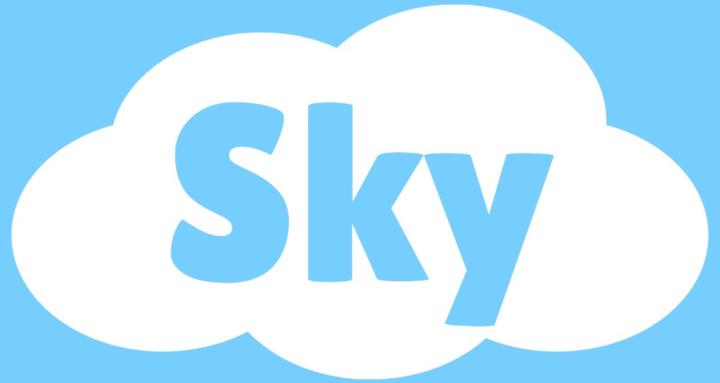 Sky Ai Accelerator™