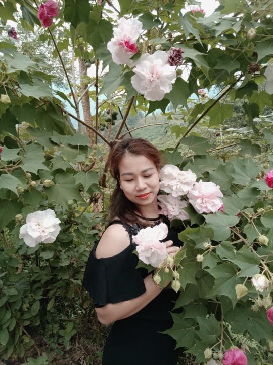 Trần Thị Tuyết Tuyết