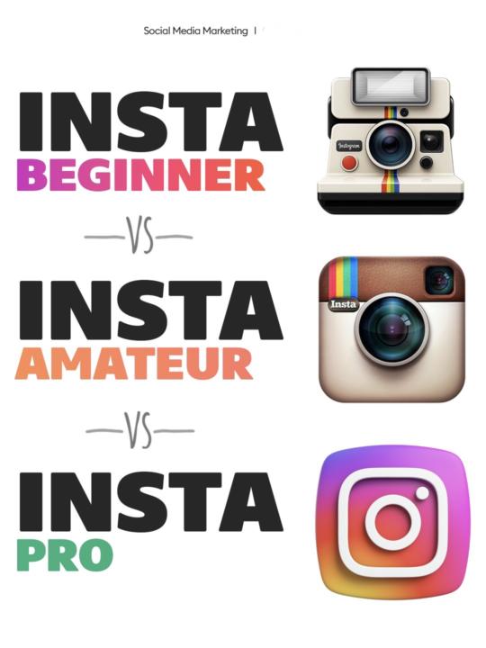 There are 3 levels of Instagram profiles: