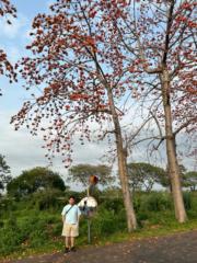 Lin Xianping