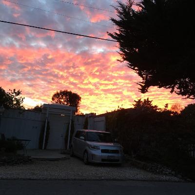 Coach Stephen Kotwicki