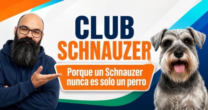 Club Schnauzer