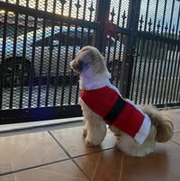 Daniel González Bastos