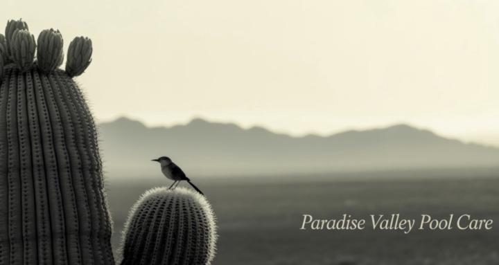 Paradise Valley Pool Care