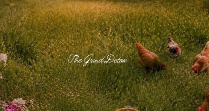 The Grind Detox